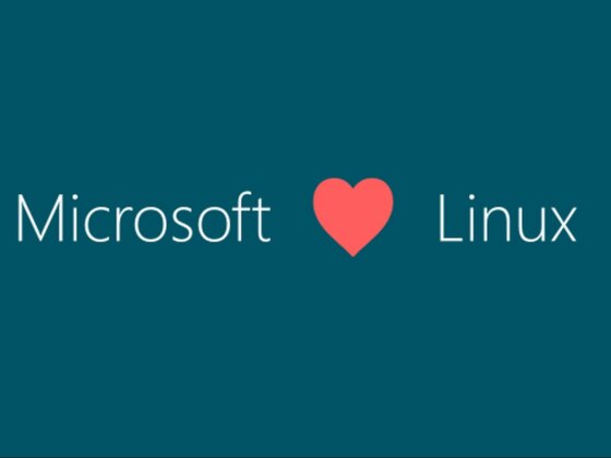 Windows 11 ganha modo dev sério, cada vez mais alinhado com Linux