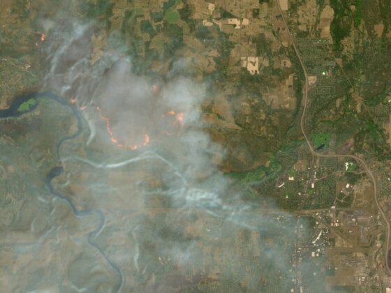 Copernicus ganha camada para seguir fogos florestais em detalhe